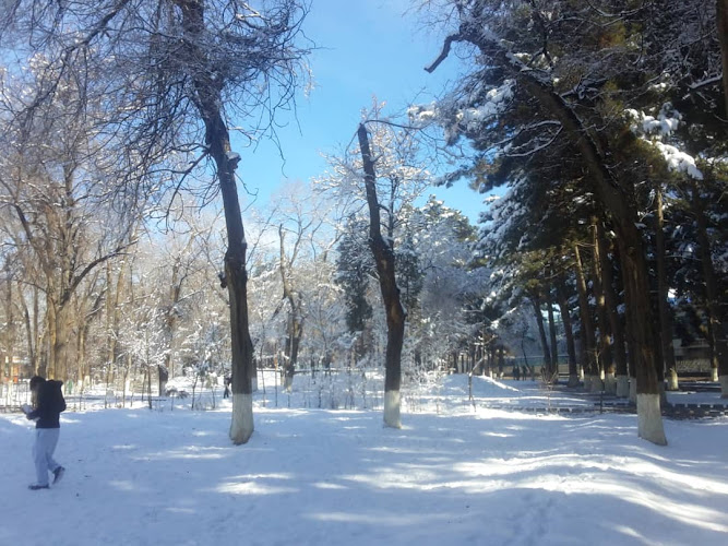 Shahr-e Naw Park