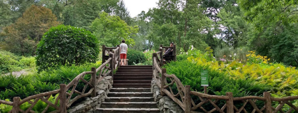 Shakespeare Garden Travel Forum Reviews