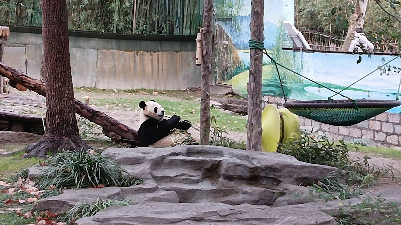 Shanghai Wild Animal Park