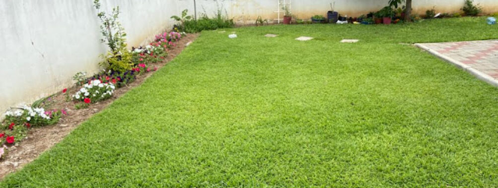 Shathi Gardens Travel Forum Reviews
