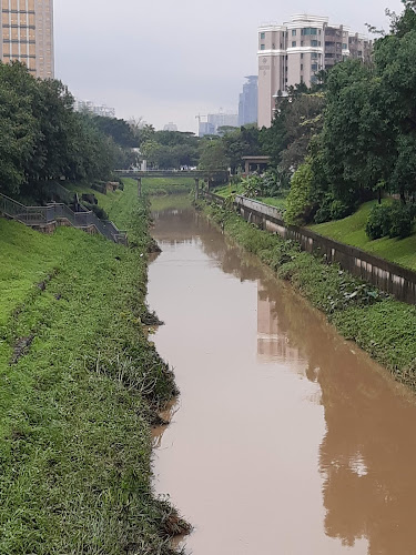 Shenzhen Central Park