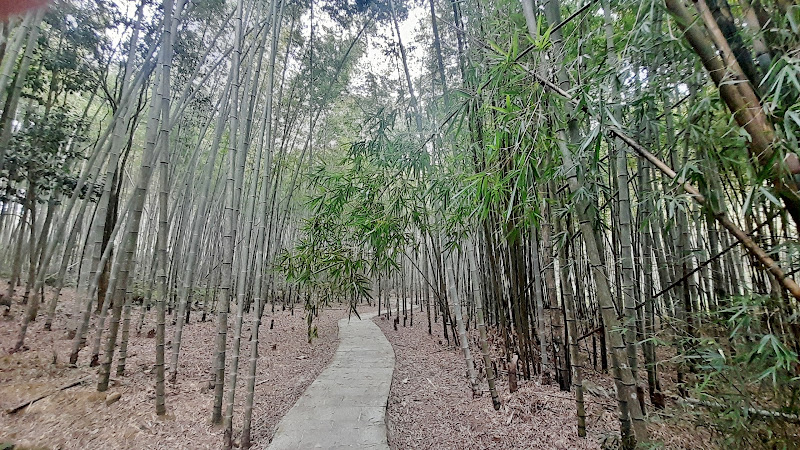 Shimen National Forest Park