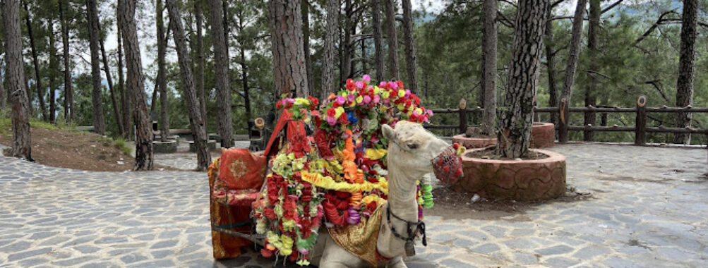 Shimla Pahari Park Travel Forum Reviews