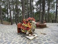 Shimla Pahari Park Travel Forum Reviews