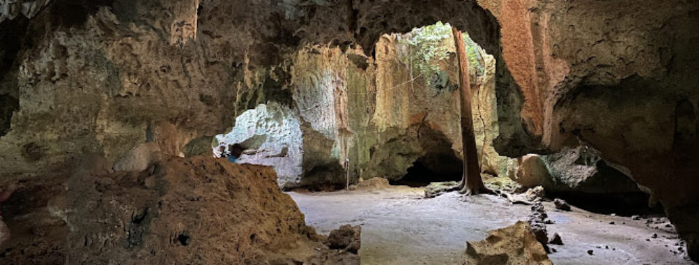 Shimoni Slave Caves Travel Forum Reviews