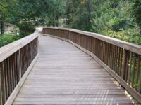 Shingle Creek Regional Park Travel Forum Reviews