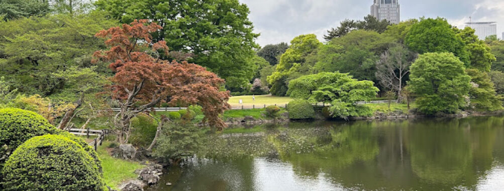 Shinjuku Gyoen National Garden Travel Forum Reviews