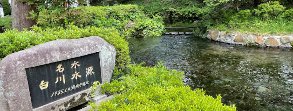 Shirakawa Spring Travel Forum Reviews