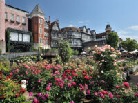 Shiroi Koibito Park Travel Forum Reviews