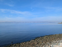 Shoreline Park Travel Forum Reviews