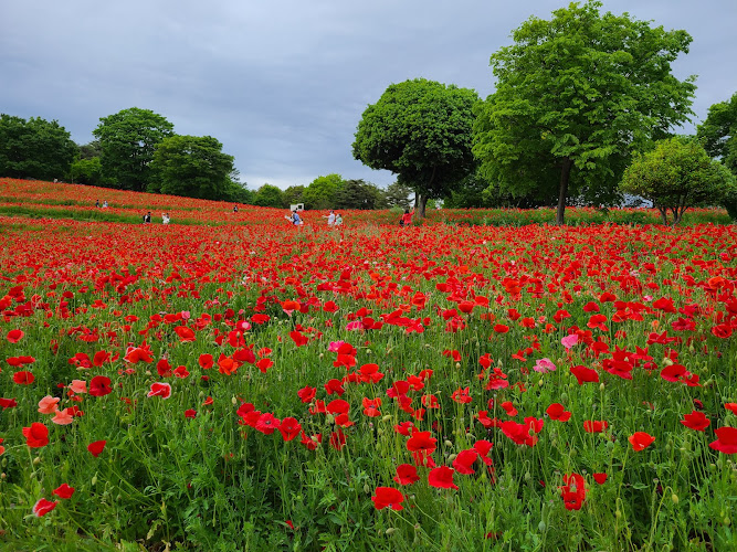 Showa Kinen Park