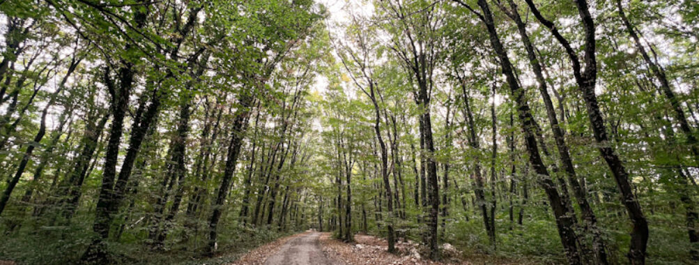 Shumen Plateau Park Travel Forum Reviews