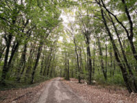 Shumen Plateau Park Travel Forum Reviews