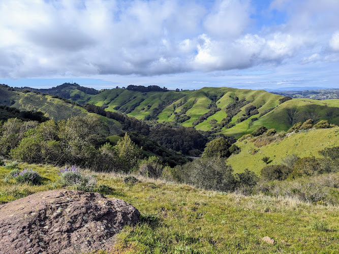 Sibley Volcanic Regional Preserve