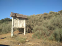 Sidi Boughaba Beach Travel Forum Reviews