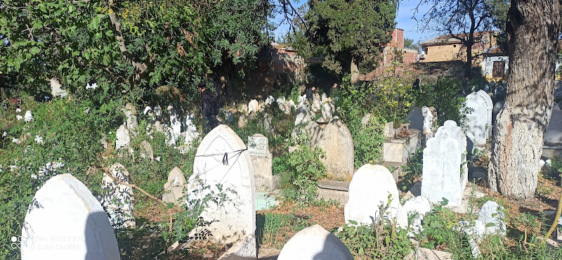 Sidi Halou