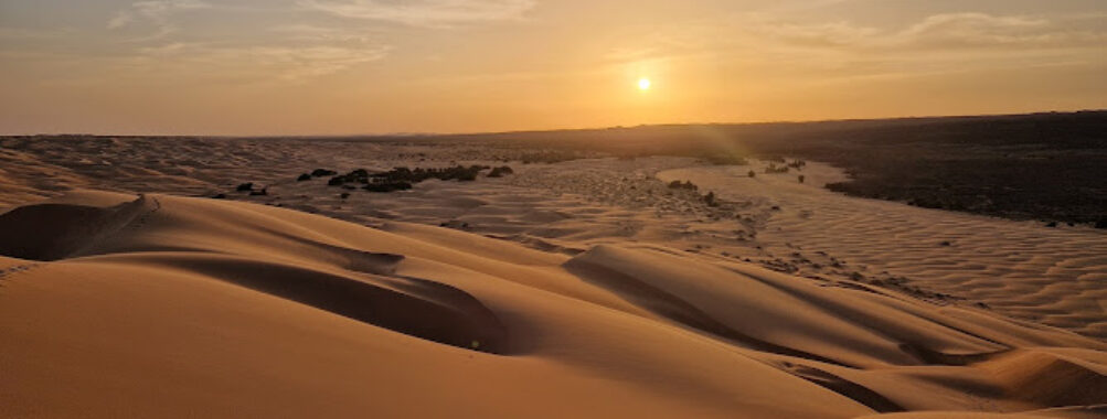 Sidi Tours Mauritania Travel Forum Reviews