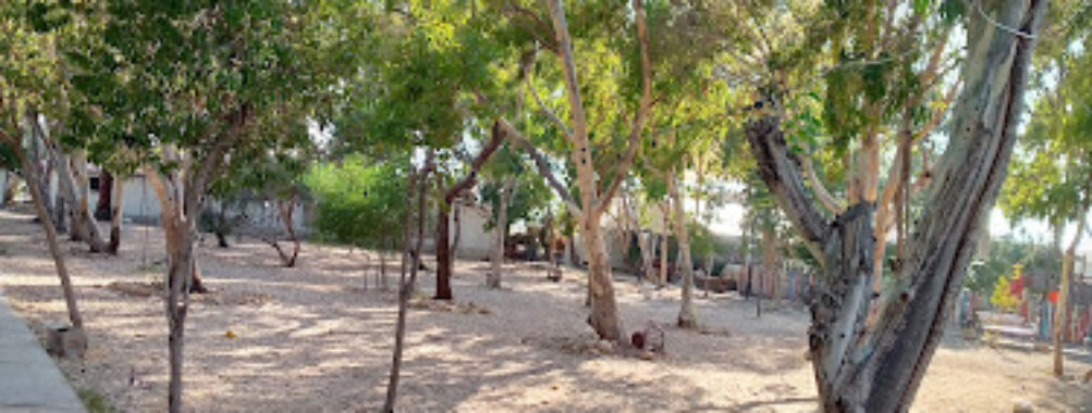 Sidon Municipal Park Travel Forum Reviews