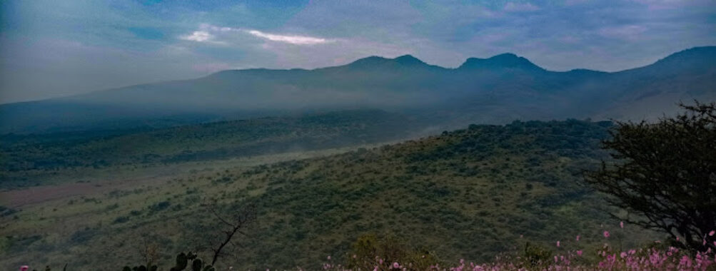 Sierra de Tepotzotlán Travel Forum Reviews