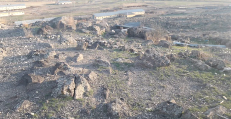 Sığırçık
