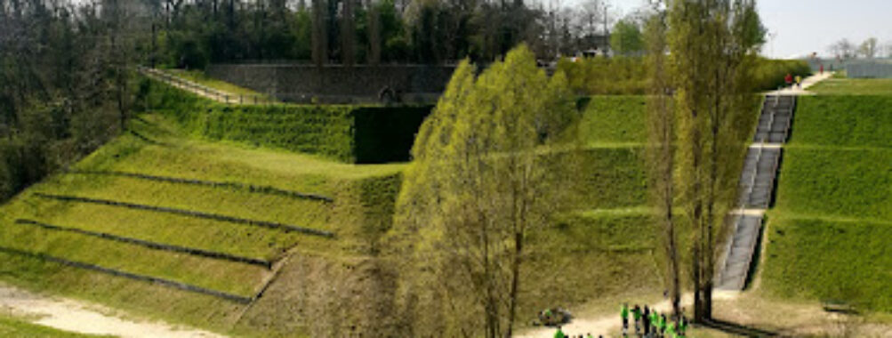 Silence Garden Travel Forum Reviews