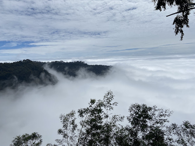 Silent Valley View