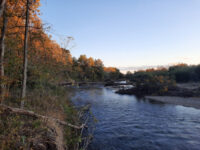 Silinsky park Travel Forum Reviews