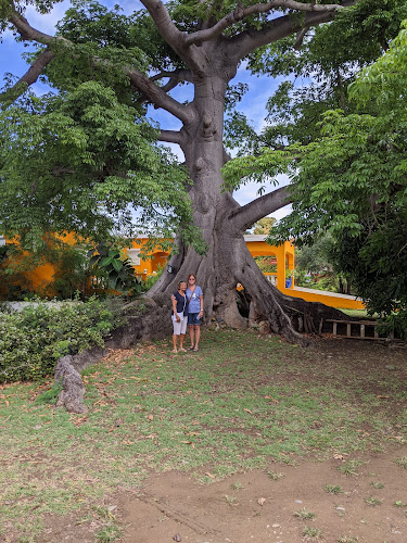 Silk Cotton Grove Art Gallery