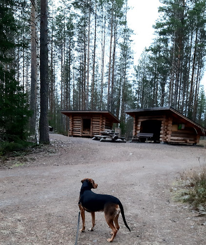 Silvasti lean-to shelter