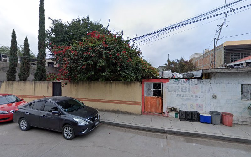 Simioguarida