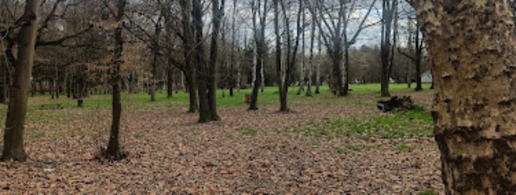 Sisak Sculpture Park Travel Forum Reviews