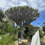 Sitio Litre Garden