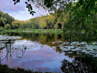 Skaistakalnis Travel Forum Reviews