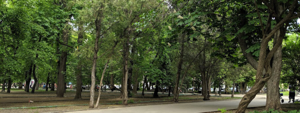 Skameyka V Parke Travel Forum Reviews