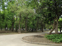 Skameyka V Parke Travel Forum Reviews