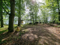 Skärva naturreservat Travel Forum Reviews
