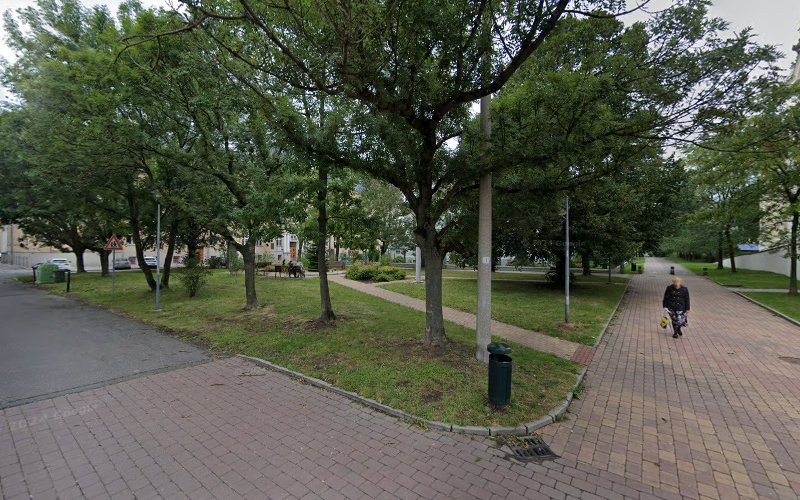 Školní park