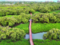 Sky Tower View Point Travel Forum Reviews