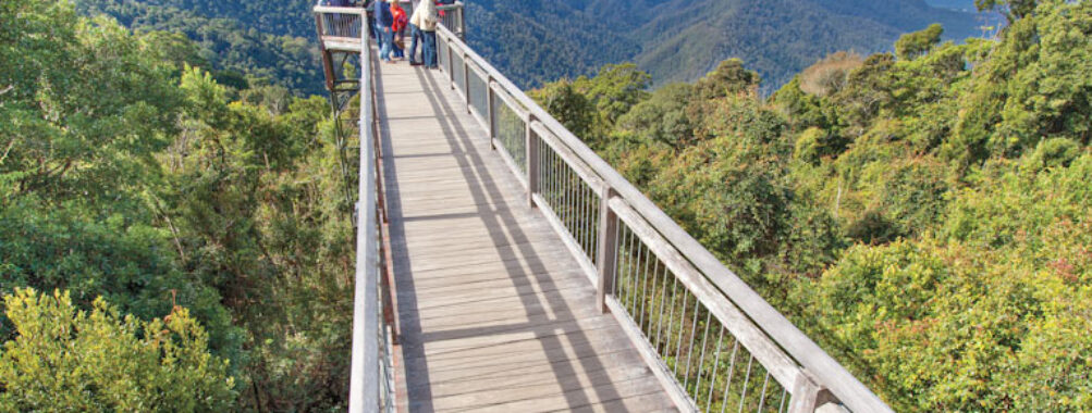 Skywalk lookout, Dorrigo National Park Travel Forum Reviews