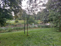 Slottsparken Travel Forum Reviews