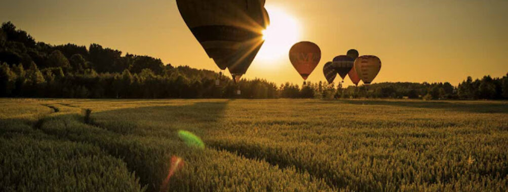 Slow Trips – Alytus Region Travel Forum Reviews