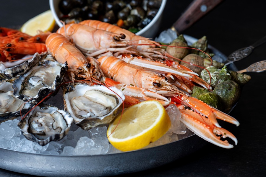Antwerp fresh seafood