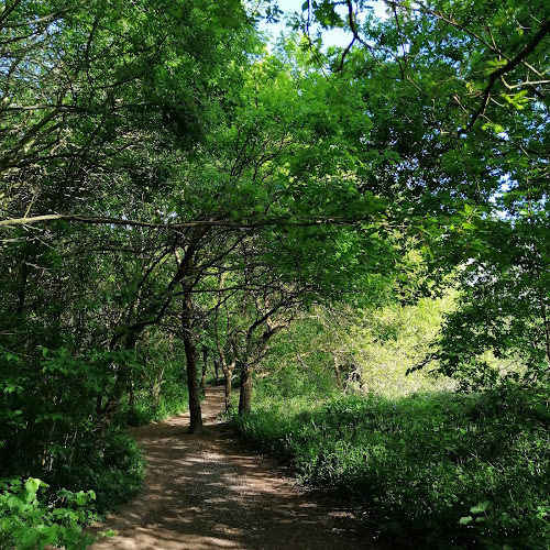 Smestow Valley Nature Park