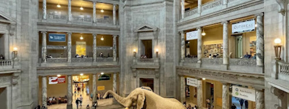Smithsonian National Museum of Natural History Travel Forum Reviews