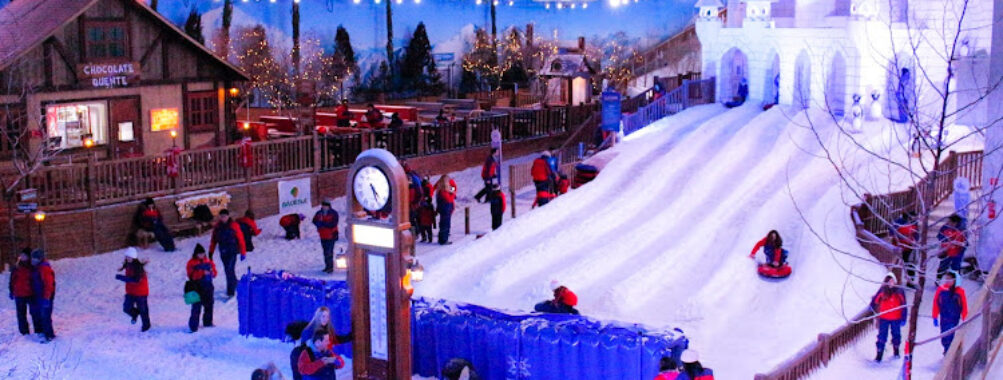Snowland Travel Forum Reviews
