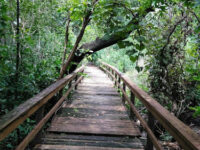 Snyder Park Travel Forum Reviews
