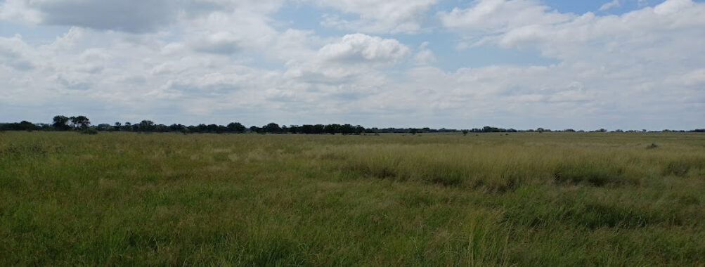 Soetdoring Nature Reserve Travel Forum Reviews