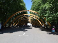 Sokolniki Park Travel Forum Reviews