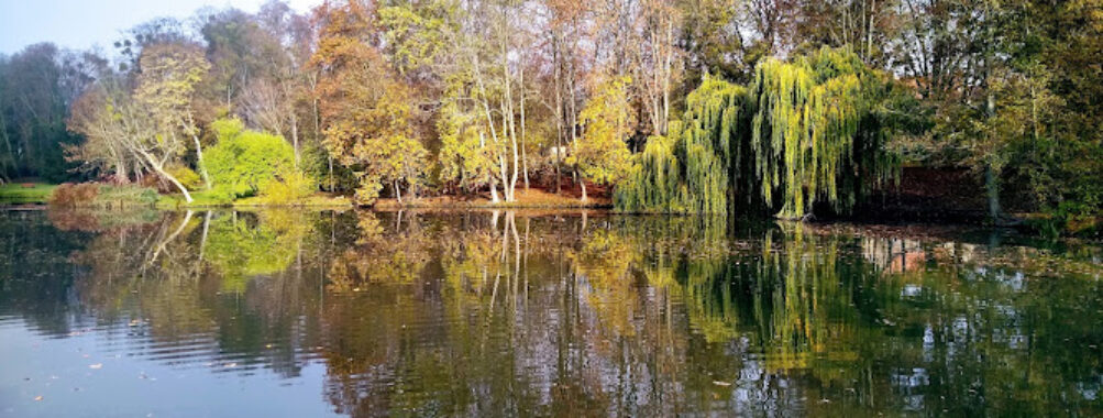 Sołacki Park Travel Forum Reviews
