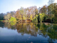 Sołacki Park Travel Forum Reviews
